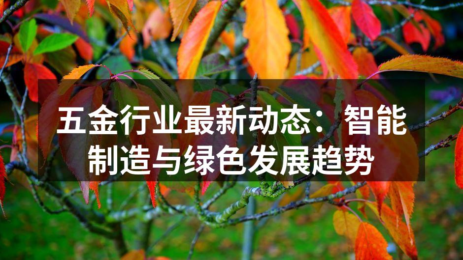 五金行业最新动态：智能制造与绿色发展趋势